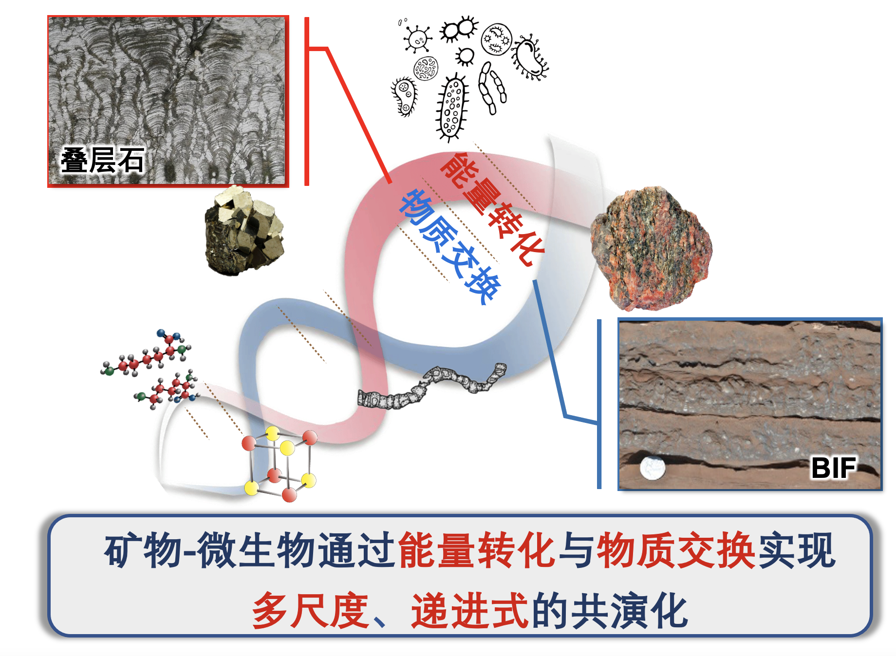 我校董海良教授荣获国家自然科学基金委重大项目支持
