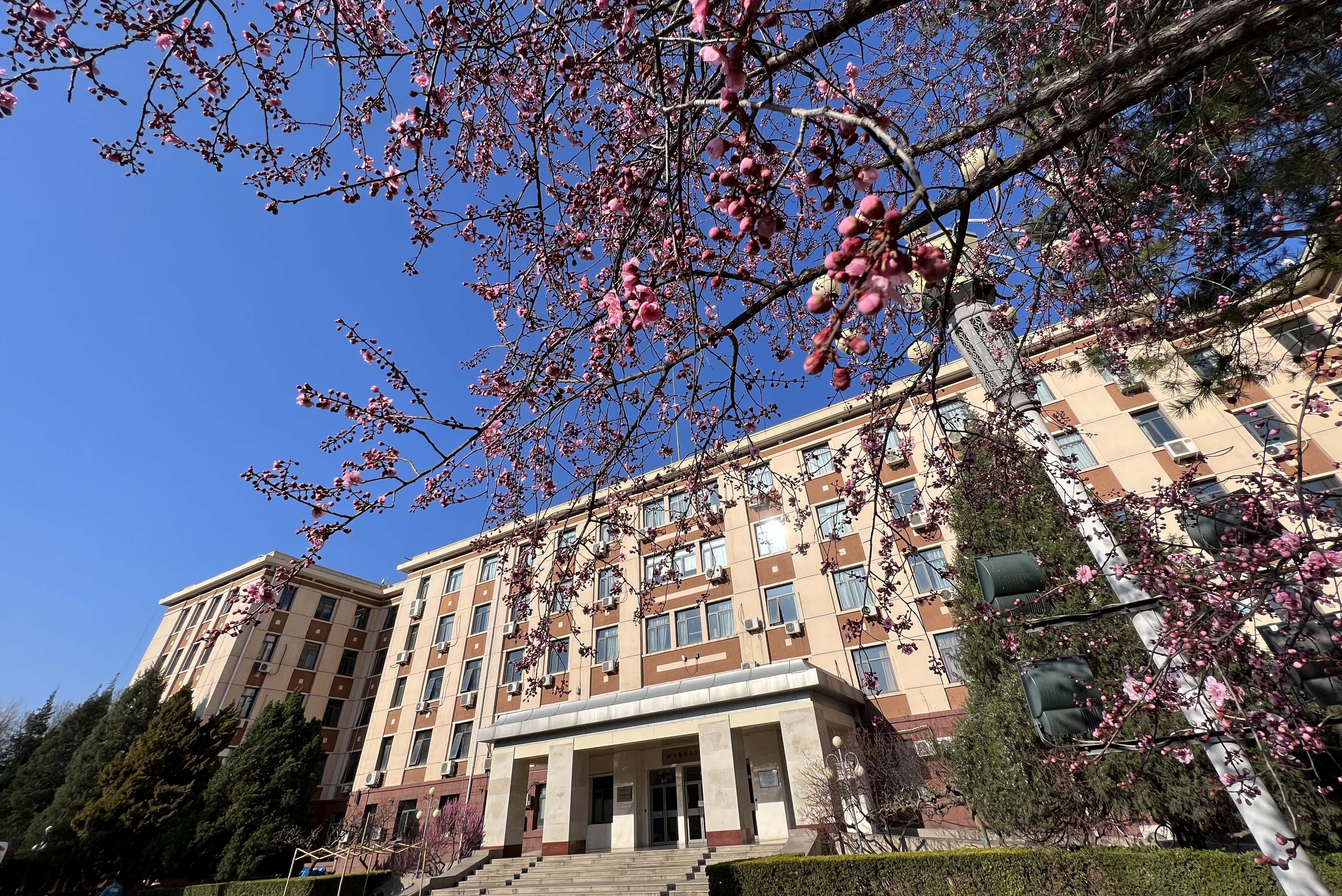 地大北京地学院图片